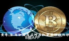 虚拟币黄牛：如何识别与