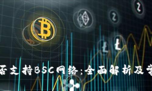 小狐钱包是否支持BSC网络：全面解析及常见问题解答