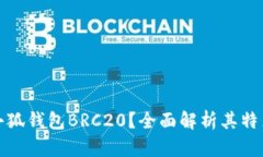 什么是小狐钱包BRC20？全面
