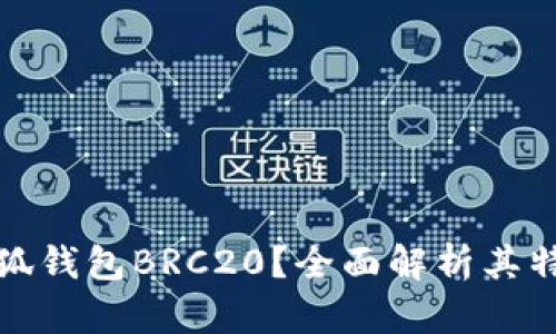什么是小狐钱包BRC20？全面解析其特点与优势