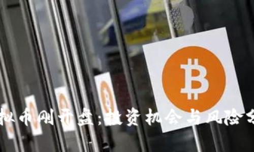 虚拟币刚开盘：投资机会与风险分析
