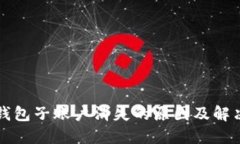 小狐钱包子账户消失的原因及解决方法