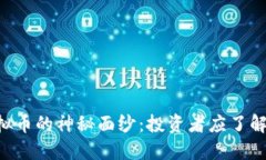 揭开CRE虚拟币的神秘面纱：投资者应了解的核心