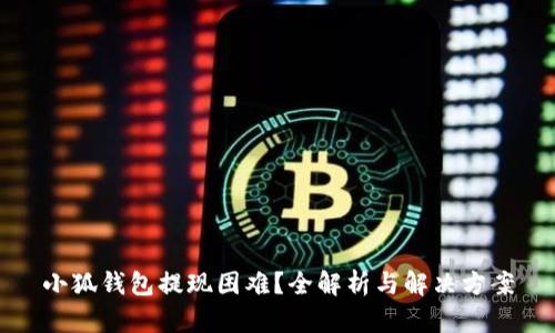 小狐钱包提现困难？全解析与解决方案