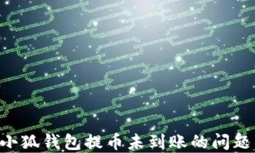 
如何解决小狐钱包提币未到账的问题：完整指南