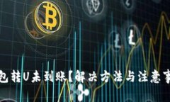 小狐钱包转U未到账？解决方法与注意事项详解