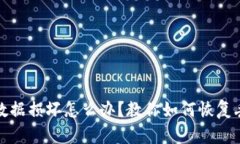 小狐钱包数据损坏怎么办？教你如何恢复丢失的