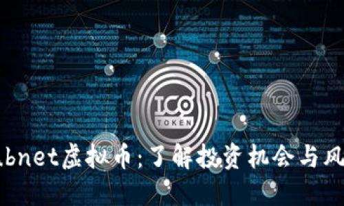 Subnet虚拟币：了解投资机会与风险