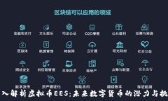   深入解析虚拟币EES：未来数字货币的潜力与挑战