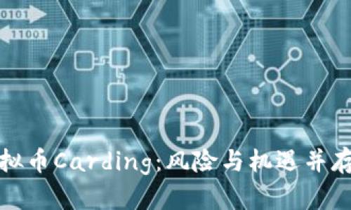 全面解析虚拟币Carding：风险与机遇并存的暗网之路