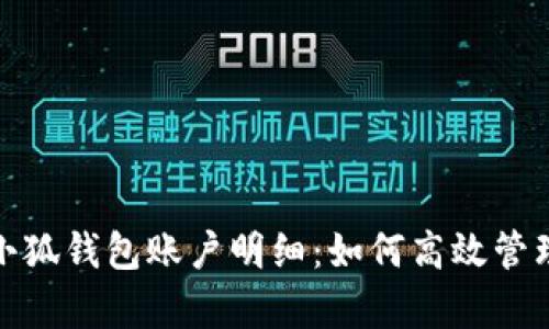 全面解析小狐钱包账户明细:如何高效管理你的财务