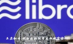 王虚拟币：揭秘区块链背后的财富密码