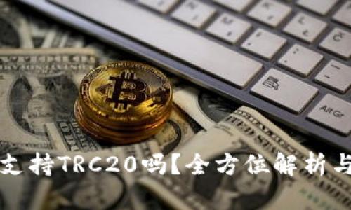 小狐钱包支持TRC20吗？全方位解析与使用指南