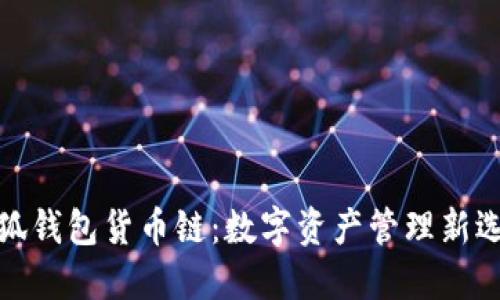 小狐钱包货币链：数字资产管理新选择