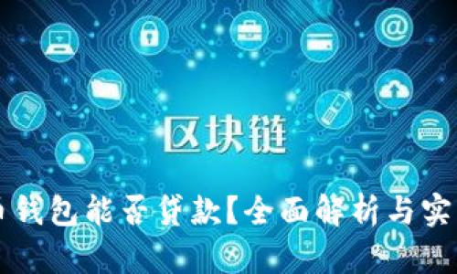 虚拟币钱包能否贷款？全面解析与实用指南