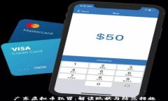 广东虚拟币犯罪：解读现