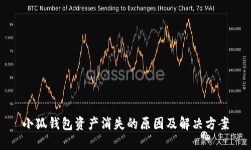 小狐钱包资产消失的原因及解决方案