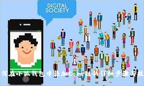 如何在小狐钱包中添加Core链的详细步骤与技巧