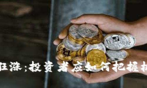 新虚拟币狂涨：投资者应如何把握机遇与风险