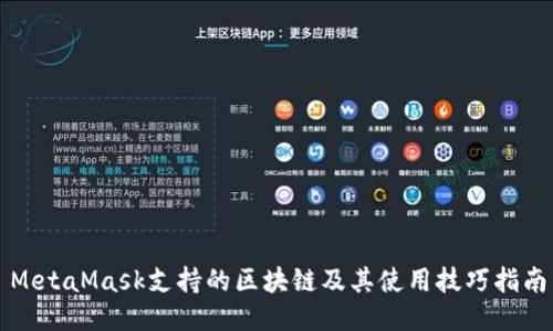 MetaMask支持的区块链及其使用技巧指南