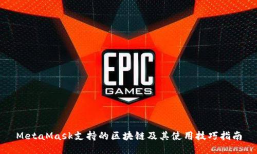 MetaMask支持的区块链及其使用技巧指南