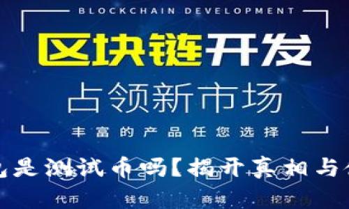 小狐钱包是测试币吗？揭开真相与使用指南