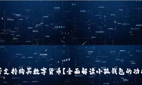 小狐钱包是否支持购买数字货币？全面解读小狐钱包的功能与使用指南