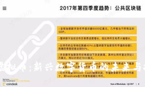 Stater虚拟币：新兴数字货币的未来与投资机会