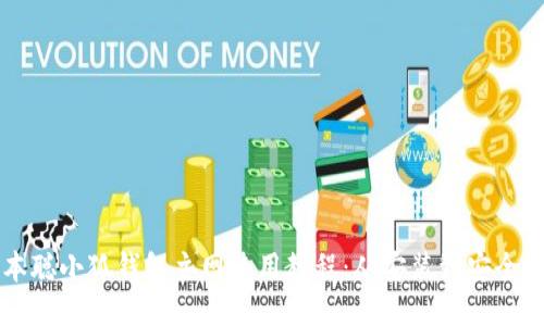 中本聪小狐钱包主网使用教程：从安装到安全指南